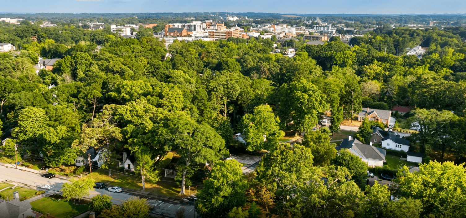 A leafy Gainesville neighborhood with downtown in the distance